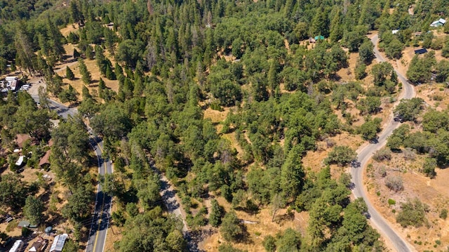 48675 Todd Eymann Rd, Miramonte, CA 93641 - view of property location featuring a forest