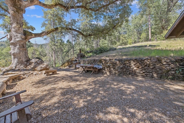 48675 Todd Eymann Rd, Miramonte, CA 93641 - view of yard