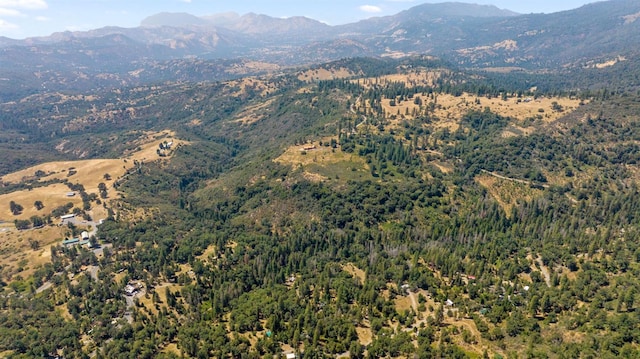 48675 Todd Eymann Rd, Miramonte, CA 93641 - view of mountain background with a heavily wooded area
