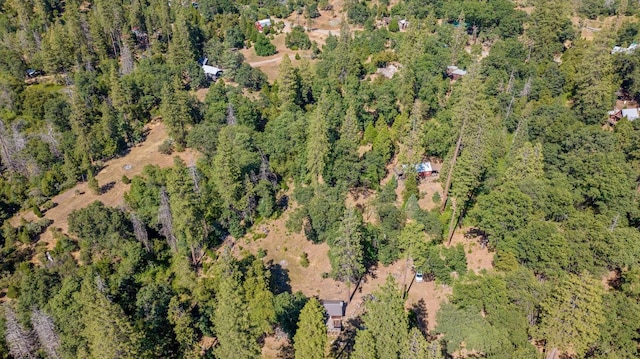 48675 Todd Eymann Rd, Miramonte, CA 93641 - aerial view of property's location