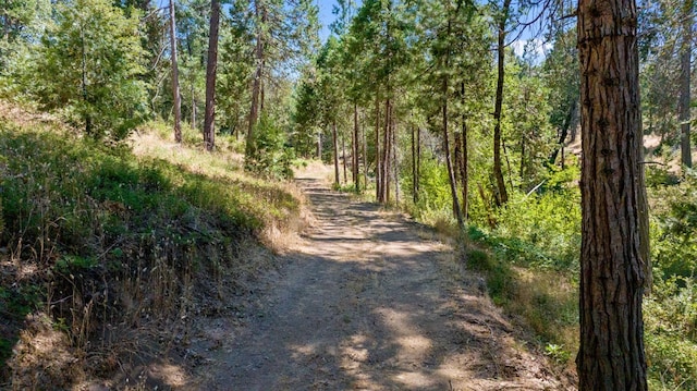 48675 Todd Eymann Rd, Miramonte, CA 93641 - view of road with a forest view