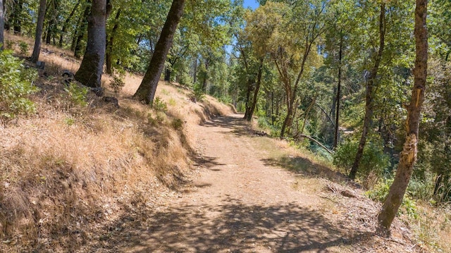 48675 Todd Eymann Rd, Miramonte, CA 93641 - view of street with a wooded view