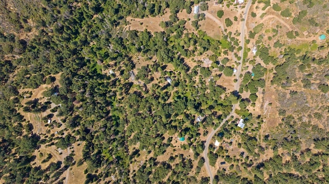 48675 Todd Eymann Rd, Miramonte, CA 93641 - aerial overview of property's location