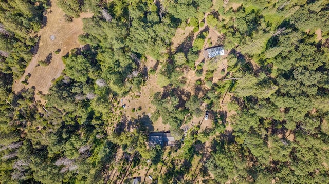 48675 Todd Eymann Rd, Miramonte, CA 93641 - aerial overview of property's location