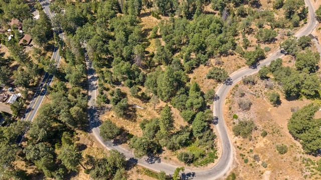 48675 Todd Eymann Rd, Miramonte, CA 93641 - aerial view of property's location