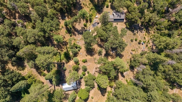48675 Todd Eymann Rd, Miramonte, CA 93641 - drone / aerial view
