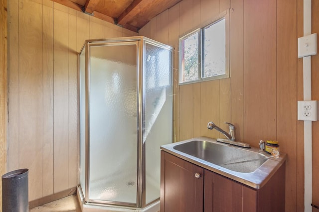 48675 Todd Eymann Rd, Miramonte, CA 93641 - full bath with a shower stall, vanity, and wood walls