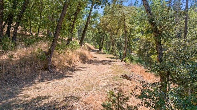 48675 Todd Eymann Rd, Miramonte, CA 93641 - view of woods