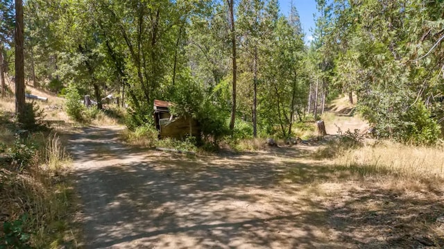 48675 Todd Eymann Rd, Miramonte, CA 93641 - view of dirt / gravel road with a forest view