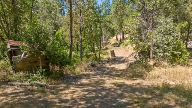 48675 Todd Eymann Rd, Miramonte, CA 93641 - view of street featuring a view of trees