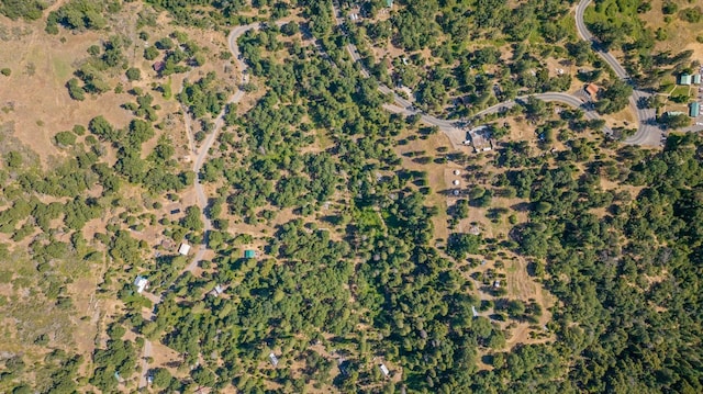 48675 Todd Eymann Rd, Miramonte, CA 93641 - view of property location