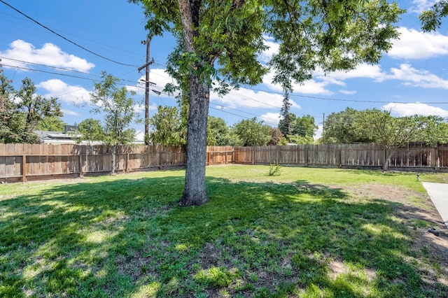 4729 E Cornell Ave, Fresno, CA 93703 - photo 21