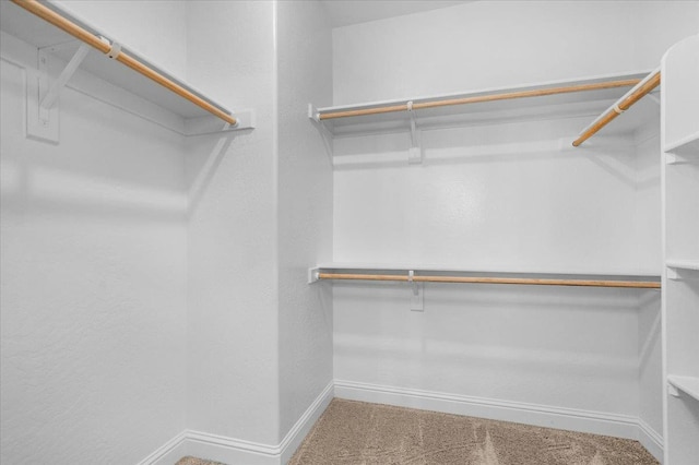 2062 N Osmun Ave, Clovis, CA 93619 - spacious closet featuring carpet flooring