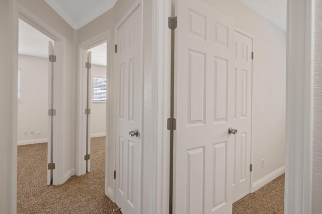 3012 W Santa Ana Ave, Fresno, CA 93722 - hallway with carpet flooring