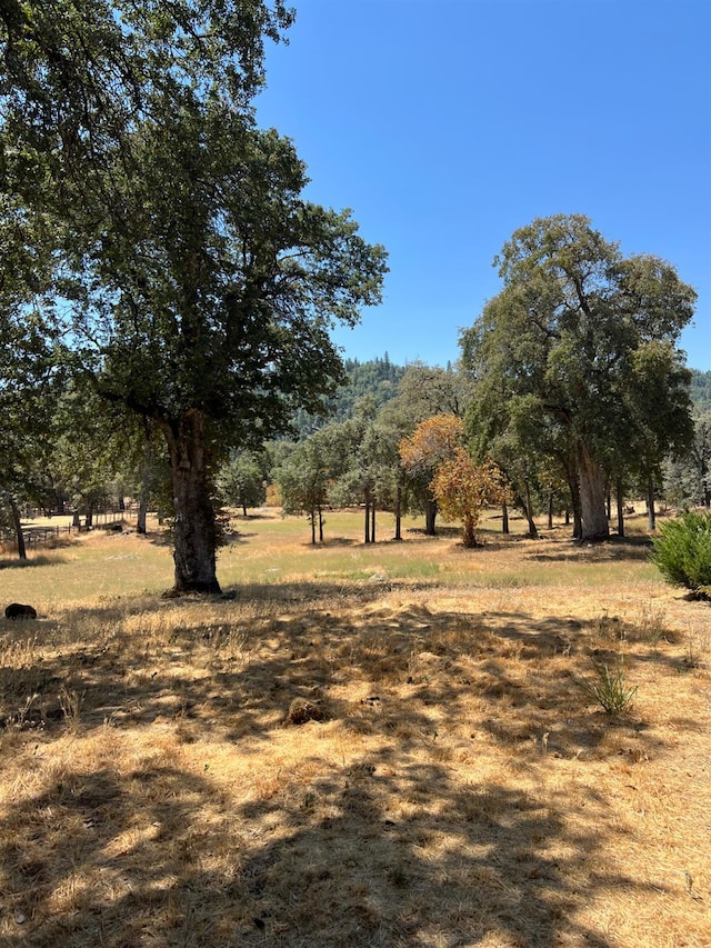 50601 Barcus Cir, Coarsegold, CA 93614 - photo 28
