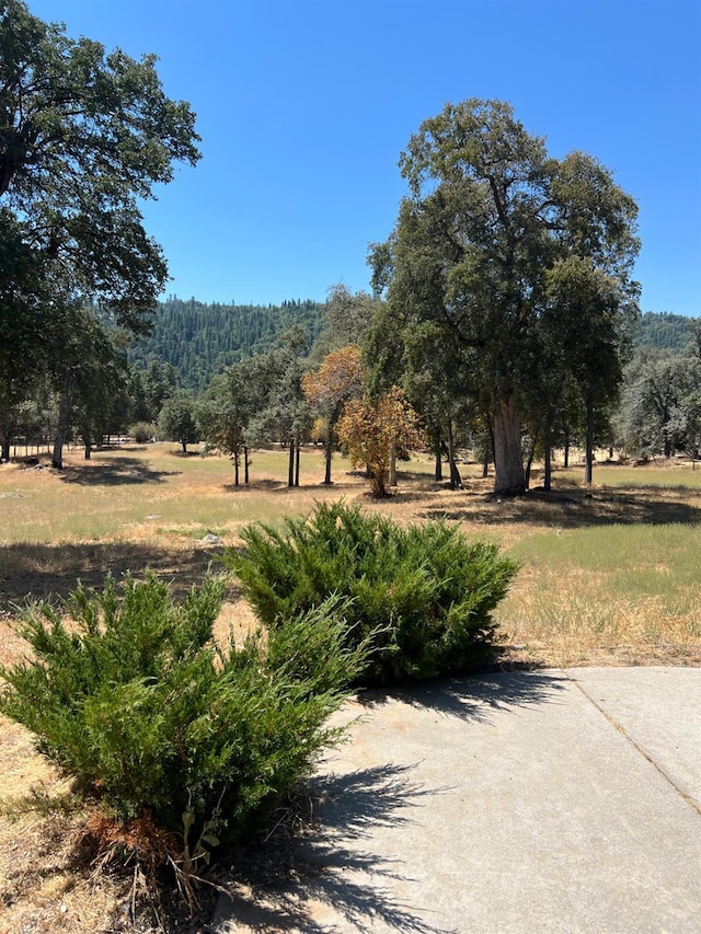 50601 Barcus Cir, Coarsegold, CA 93614 - photo 26