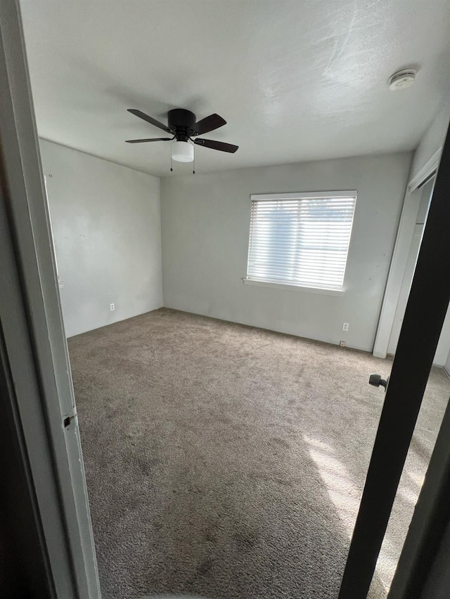 3803 E Shields Ave, Fresno, CA 93726 - photo 3