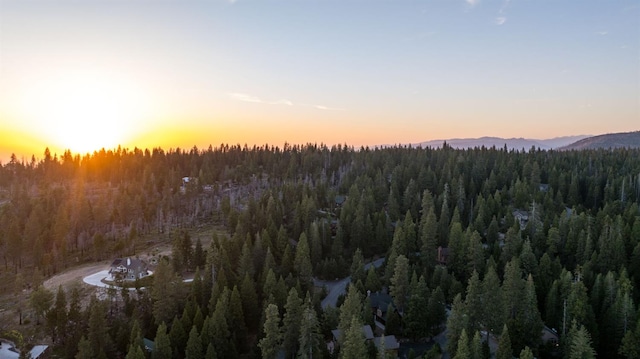 40416 Wild Rose Ln, Shaver Lake, CA 93664 - mountain view with a heavily wooded area