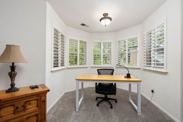 40416 Wild Rose Ln, Shaver Lake, CA 93664 - carpeted office with healthy amount of natural light