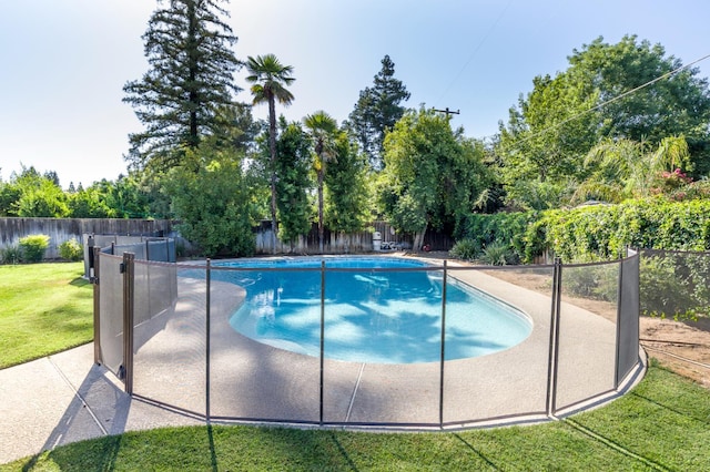 2805 W Spruce Ave, Fresno, CA 93711 - view of pool featuring a fenced backyard, a patio, and view of scattered trees