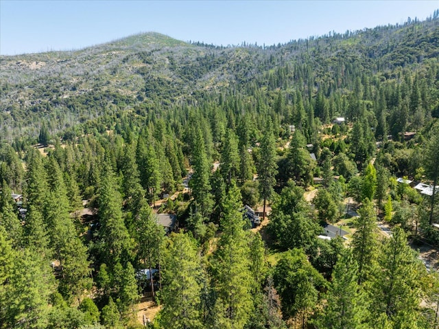 44800 Mountain Meadow Rd, Oakhurst, CA 93644 - bird's eye view of a forest and a mountain backdrop