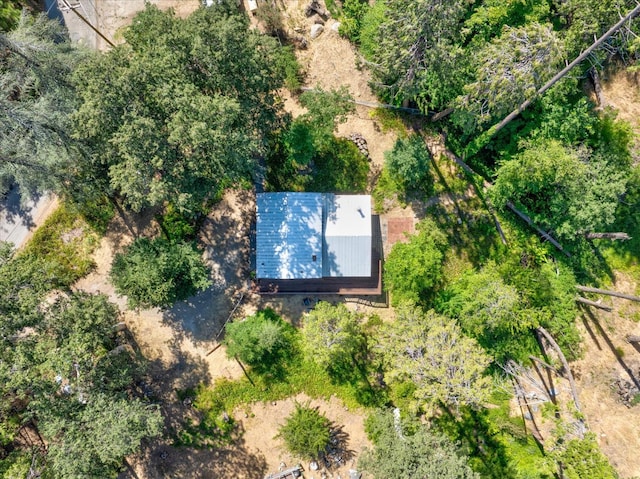 44800 Mountain Meadow Rd, Oakhurst, CA 93644 - view from above of property