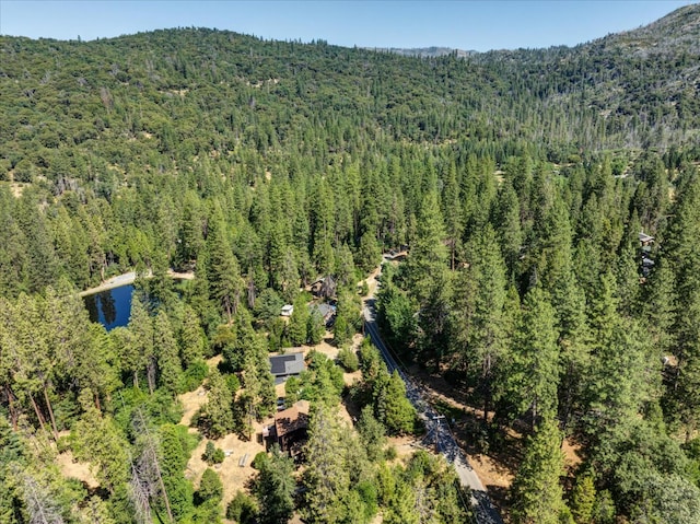 44800 Mountain Meadow Rd, Oakhurst, CA 93644 - drone / aerial view of a forest and a mountainous background
