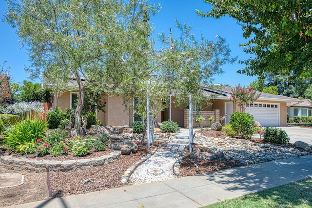 3348 W Sierra Ave, Fresno, CA 93711 - view of property hidden behind natural elements with a garage, concrete driveway, roof mounted solar panels, and stucco siding