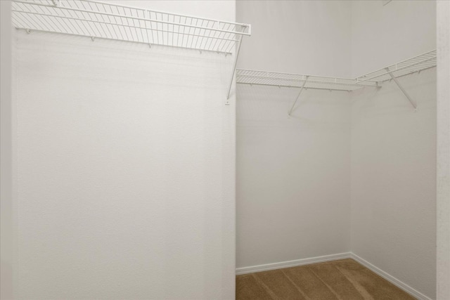 1935 N Glen Alva Ln, Clovis, CA 93619 - walk in closet with carpet floors