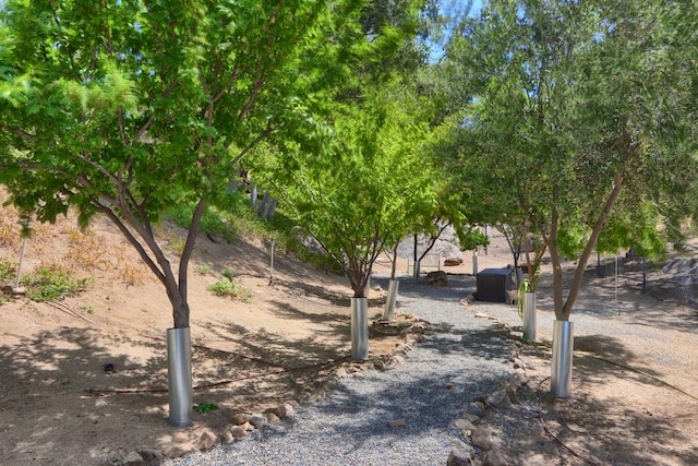 43295 Running Deer Dr, Coarsegold, CA 93614 - view of property's community