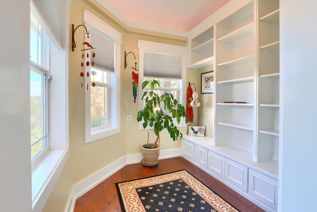 43295 Running Deer Dr, Coarsegold, CA 93614 - mudroom featuring dark wood finished floors and baseboards