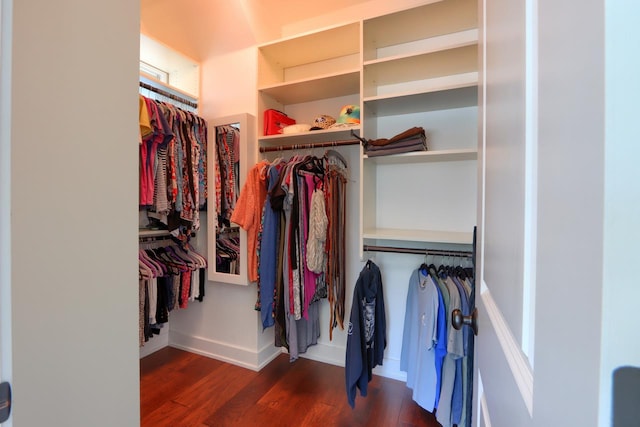 43295 Running Deer Dr, Coarsegold, CA 93614 - walk in closet with wood finished floors