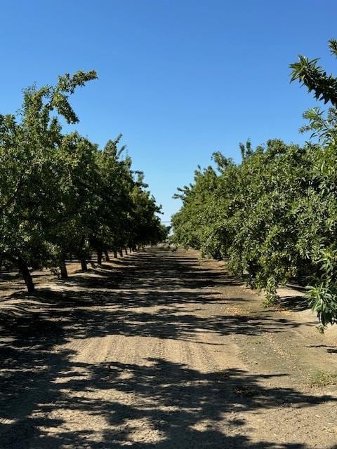 2202 W Lincoln Ave, Fresno, CA 93706 - photo 39