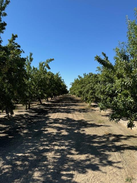 2202 W Lincoln Ave, Fresno, CA 93706 - photo 40