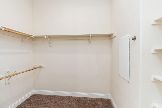 7399 N Riverside Dr, Fresno, CA 93722 - spacious closet with carpet flooring