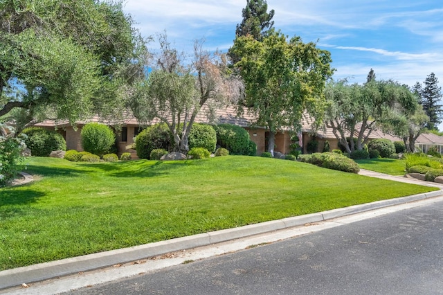 1917 Evergreen Pl, Madera, CA 93637 - view of property hidden behind natural elements with a front lawn