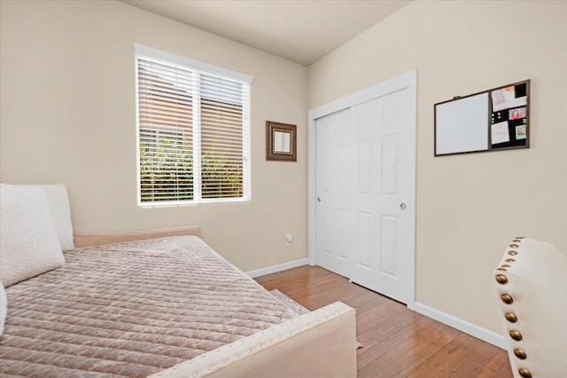 3982 Flint Ave, Clovis, CA 93619 - bedroom featuring light wood-style floors and a closet