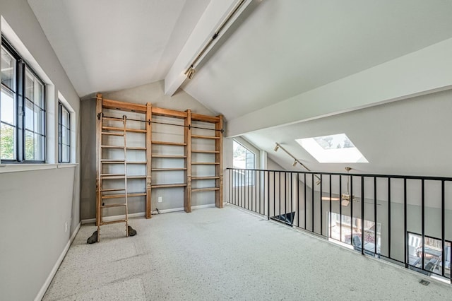 7047 N Teilman Ave Unit 102, Fresno, CA 93711 - storage area with a skylight