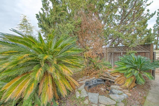 11016 E S Ave, Selma, CA 93662 - view of yard