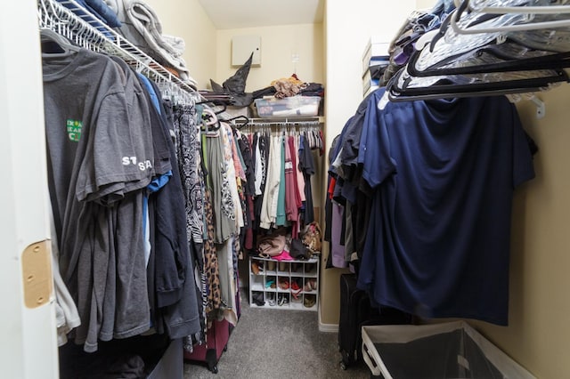 4001 W Fig Tree Ln, Fresno, CA 93722 - spacious closet featuring carpet flooring