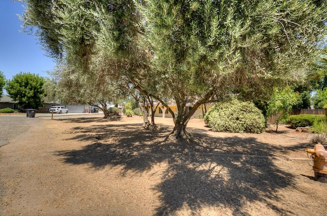 41151 Fig Grove Cir, Madera, CA 93636 - view of yard