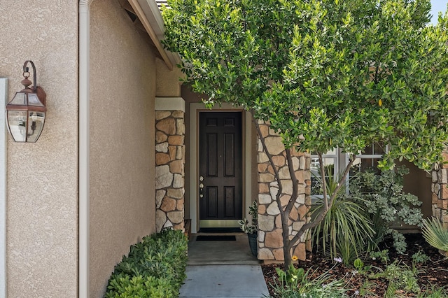 10911 E Swift Ave, Clovis, CA 93619 - entrance to property featuring stucco siding and stone siding