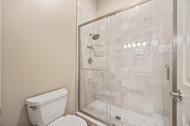 10911 E Swift Ave, Clovis, CA 93619 - bathroom featuring toilet and a stall shower