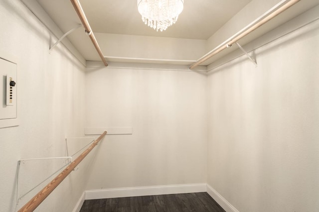 8501 N Akron Ave, Fresno, CA 93720 - spacious closet with dark wood-style floors and a chandelier