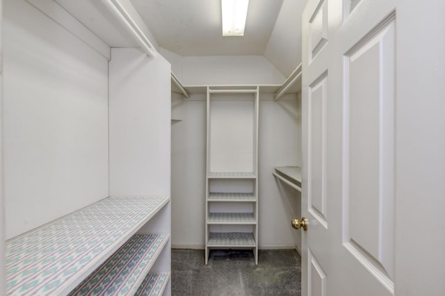 7664 N Kavanagh Ave, Fresno, CA 93711 - walk in closet featuring carpet floors