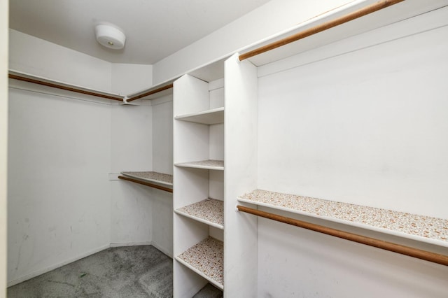 7664 N Kavanagh Ave, Fresno, CA 93711 - walk in closet with carpet