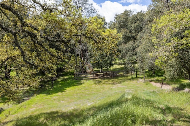 9098 San Gabriel Rd, Atascadero, CA 93422 - view of yard