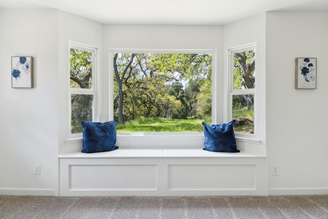 9098 San Gabriel Rd, Atascadero, CA 93422 - unfurnished room with carpet flooring