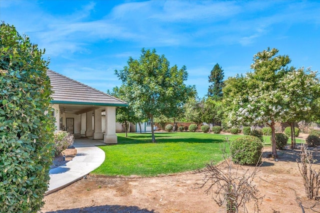 431 S Fowler Ave, Fresno, CA 93727 - view of green lawn