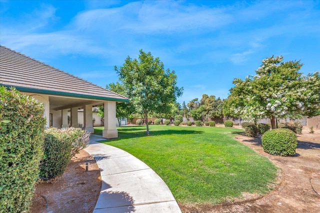 431 S Fowler Ave, Fresno, CA 93727 - view of grassy yard